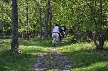 galoppbacken